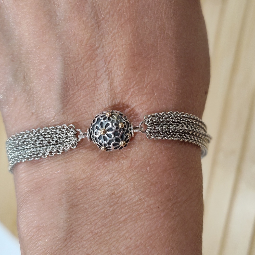 Pandora Multi-Chain Bracelet with Charm/Clip - Picture 2 of 4
